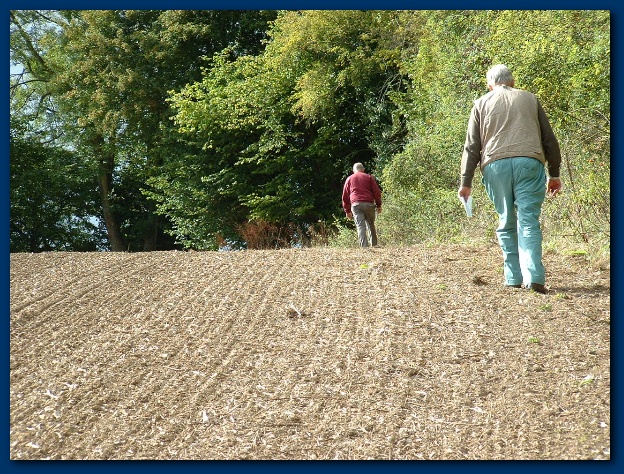 600x449 pixels (231K)